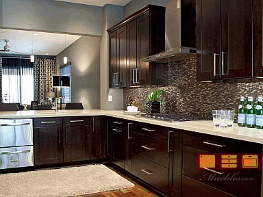 dark-kitchen-cabinets-with-light-quartz-countertops-2-5-inch-drawer-pull-mirror-mounting-hardware-contemporary-pulls-and-knobs-countertop-and-backsplash-_1520884526.jpg